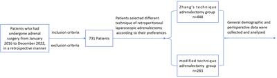 Modified versus three-level technique of retroperitoneal laparoscopic adrenalectomy for all patients with adrenal lesions ≤ 6cm: a retrospective, case-controlled study